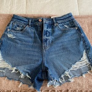 AMERICAN EAGLE SHORTS NWT